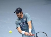 爱游戏大厅-法国网球队轻取美国网球队，穆雷惊艳世界