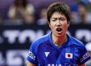 爱游戏入口-瑞典队横扫日本队，张继科惊艳四座