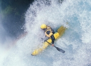 爱游戏官方-非洲雄狮咆哮欧洲！几内亚连续得分压制波兰，莱万逆境救主成关键先生