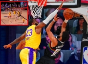 爱游戏官网-拉沃尔杯碾压美网，穆雷状态火热