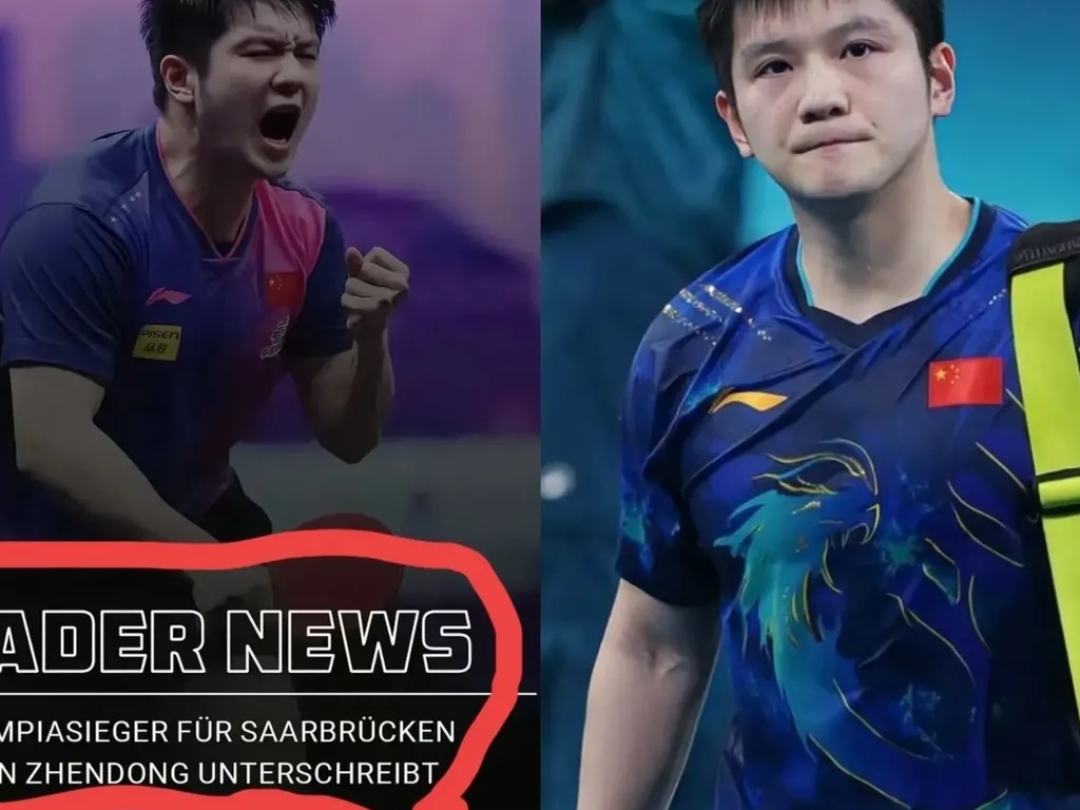 波兰队碾压德国队，樊振东高光表现