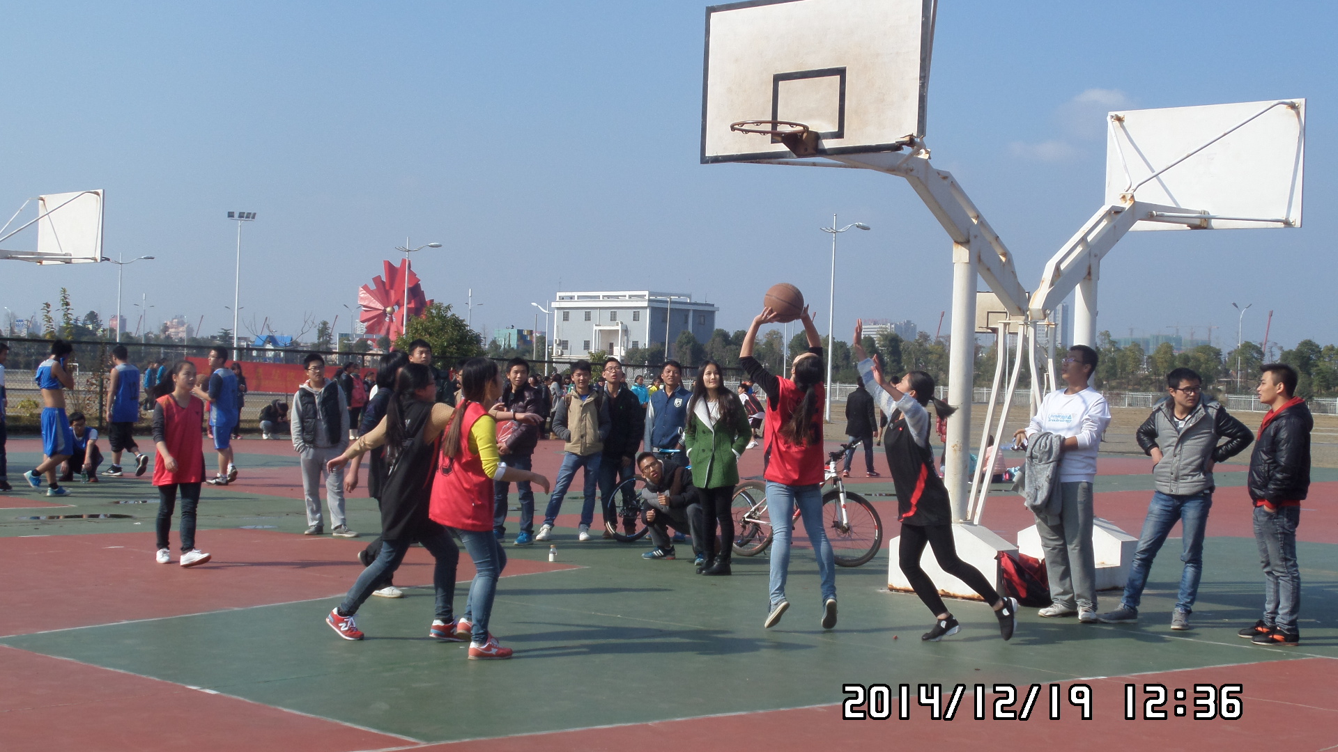 女子篮球赛场绝地逆袭!法国队力夺冠军! 女子篮球赛场绝地逆袭!法国队力夺冠军!