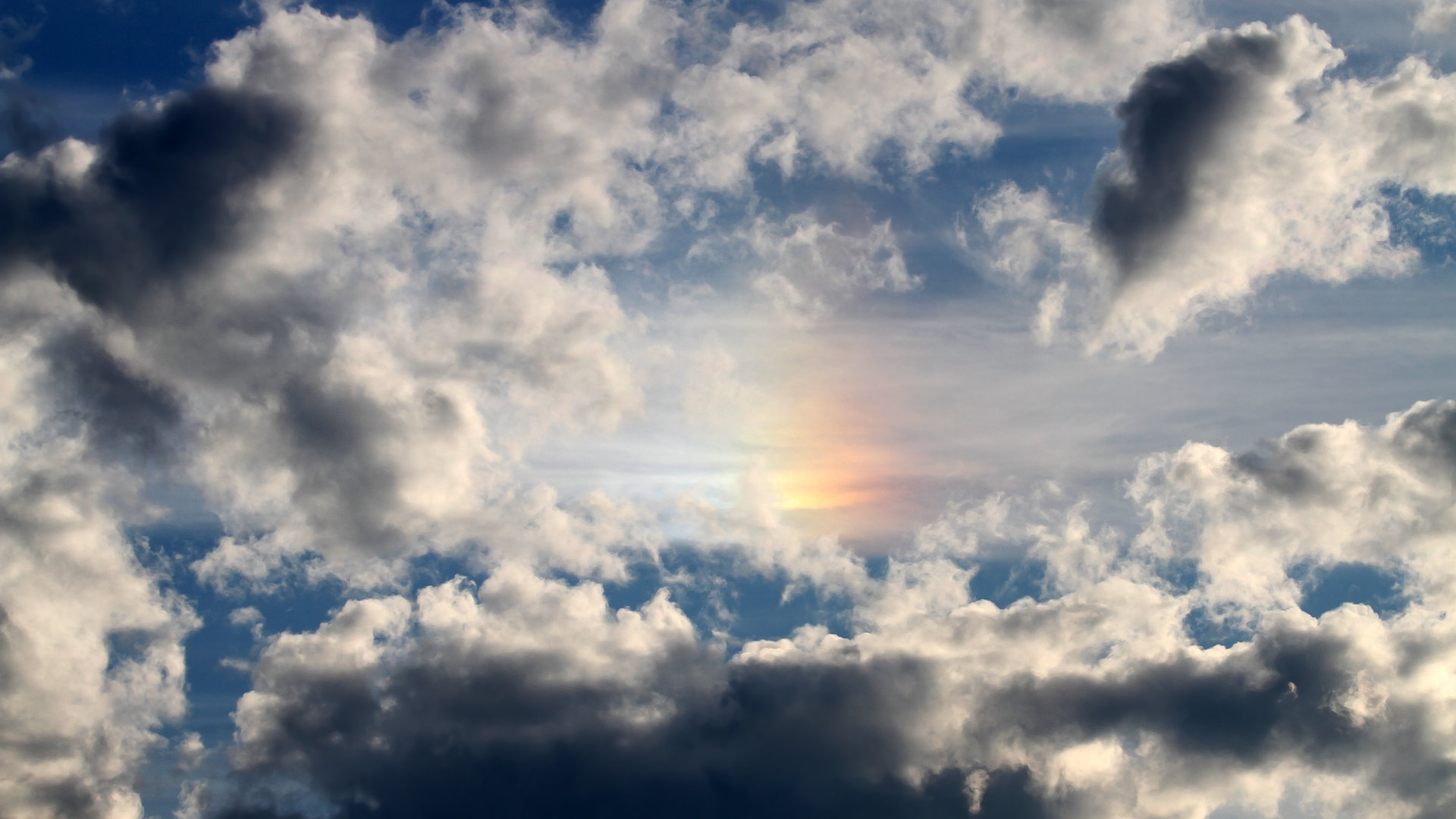 黄蜂对阵新疆队，欧文表现堪称教科书