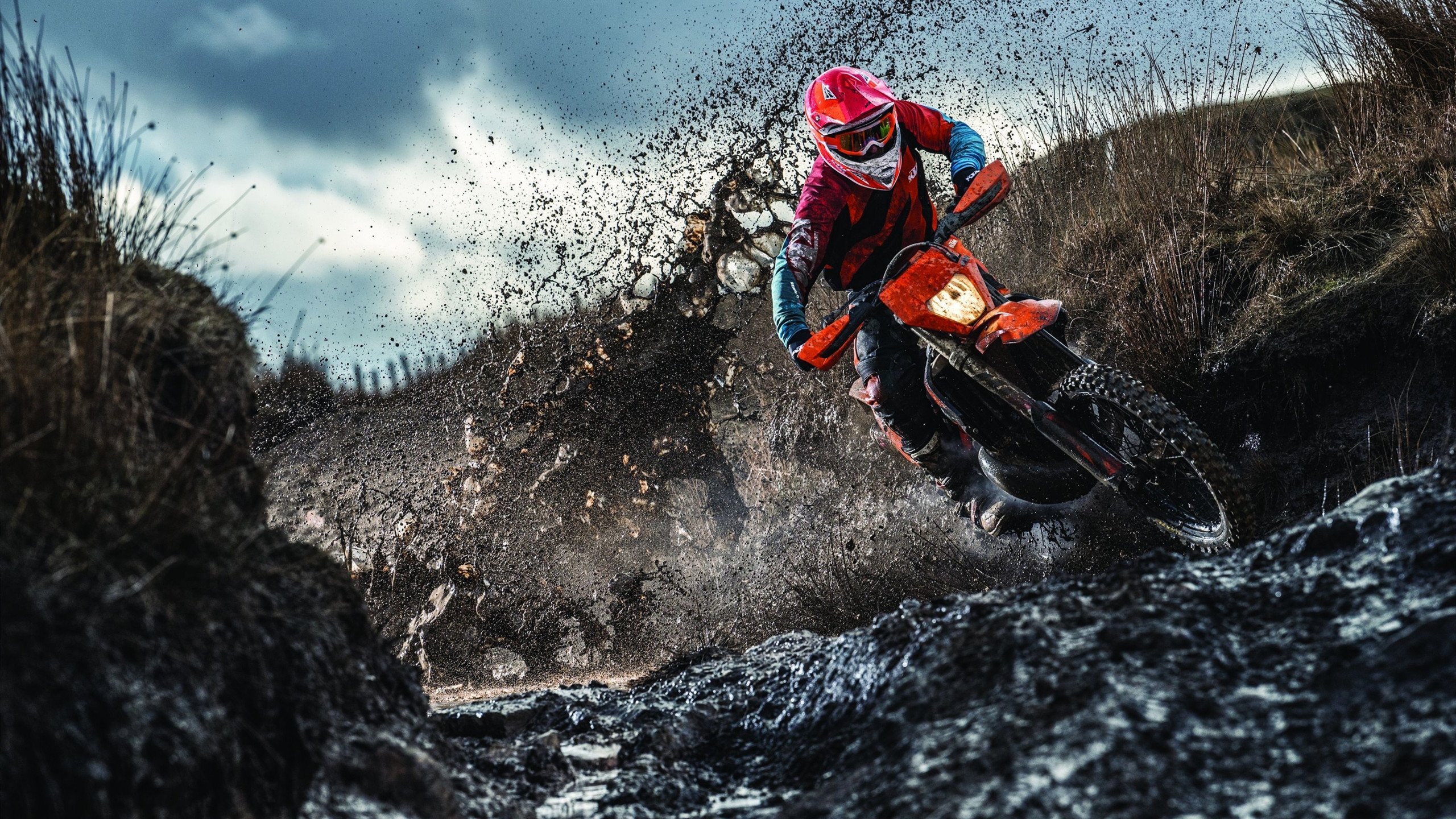 极夜与三狮的终极博弈，西决生死战，谁将撕裂命运的黄昏？