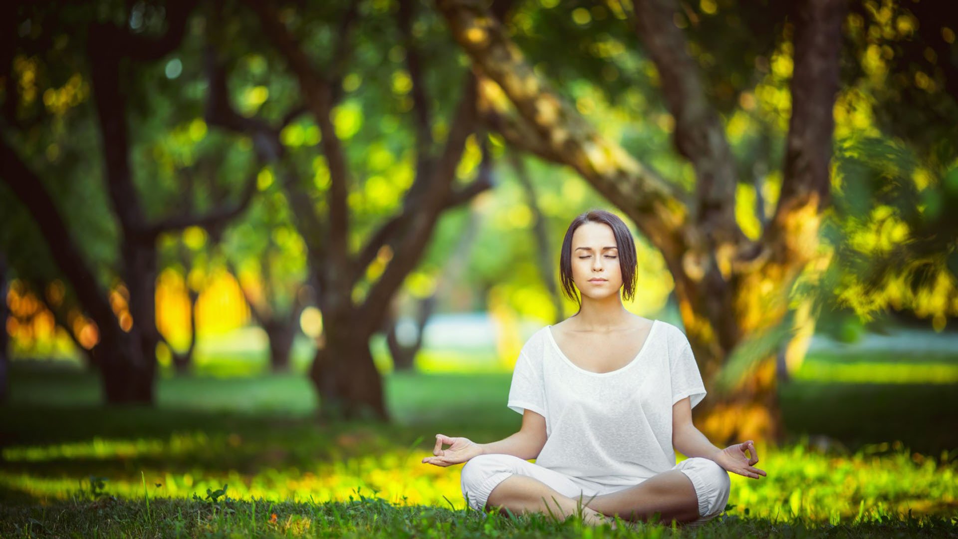 生死战唯一剧本,乌兹别克斯坦横扫奥地利,阿诺德以一己之力改写世界杯格局